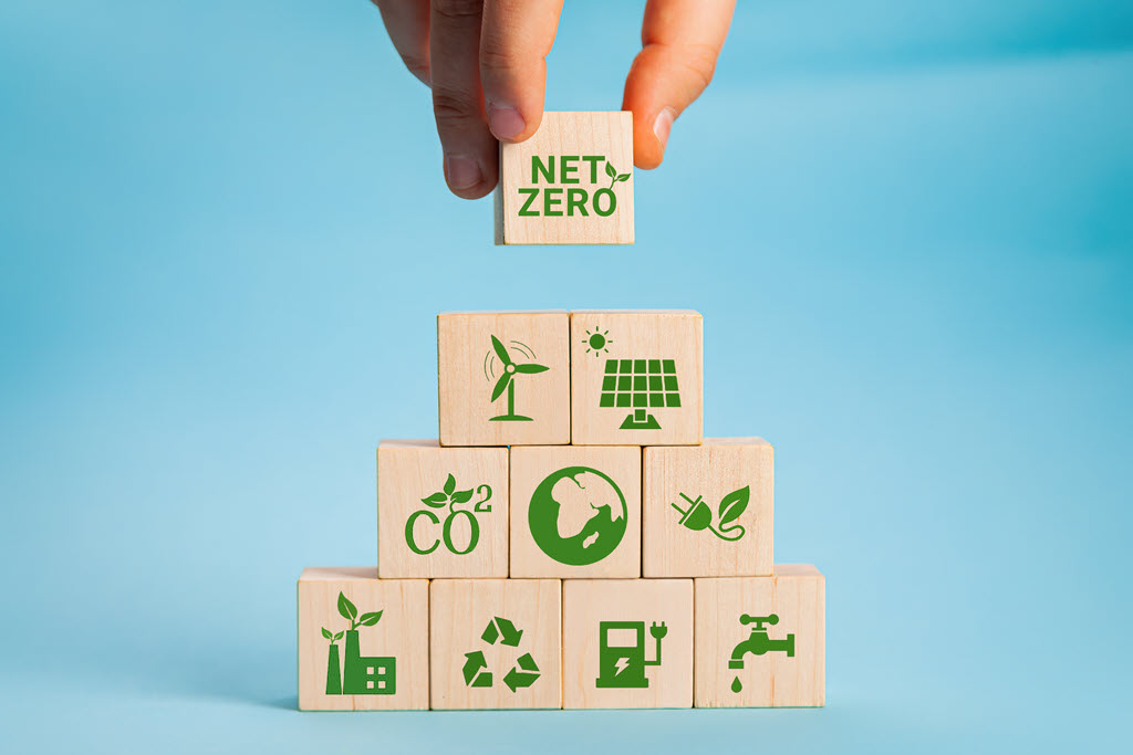 Net Zero Net Zero